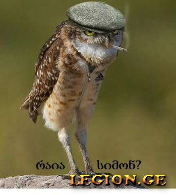legion.ge-8-1500624484.jpeg