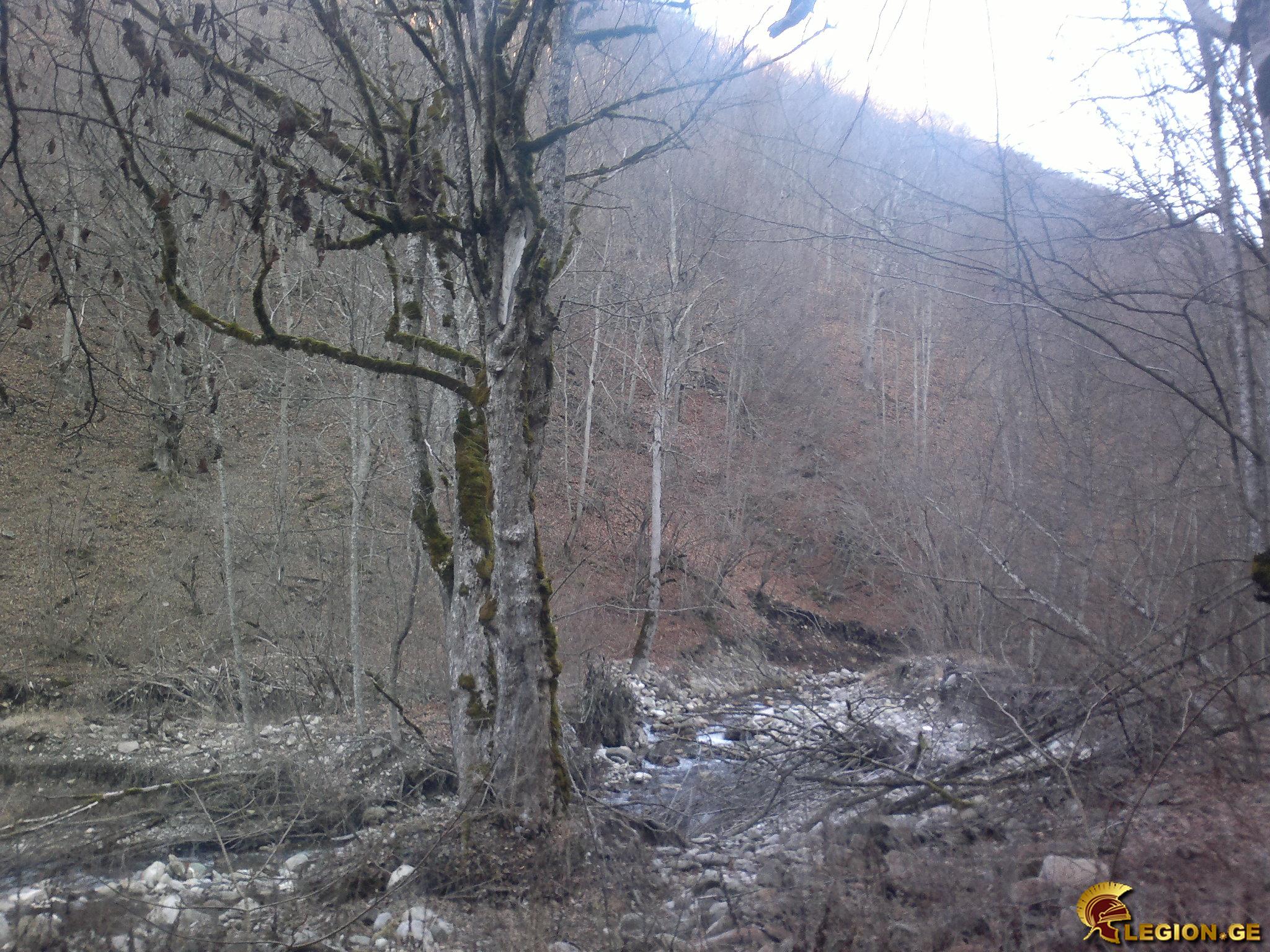 pre_1421221115__201220141438.jpg