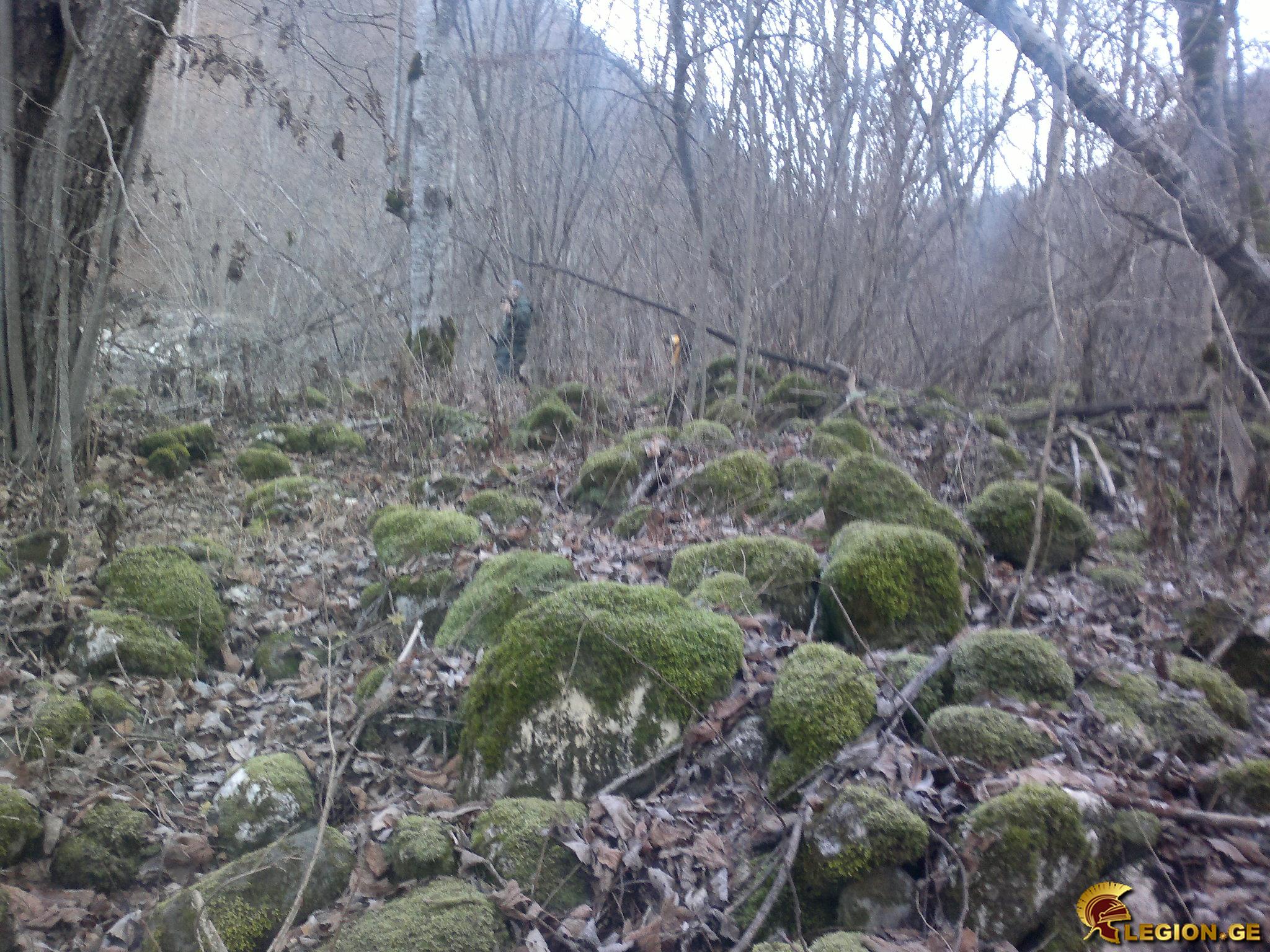 pre_1421221261__201220141437.jpg