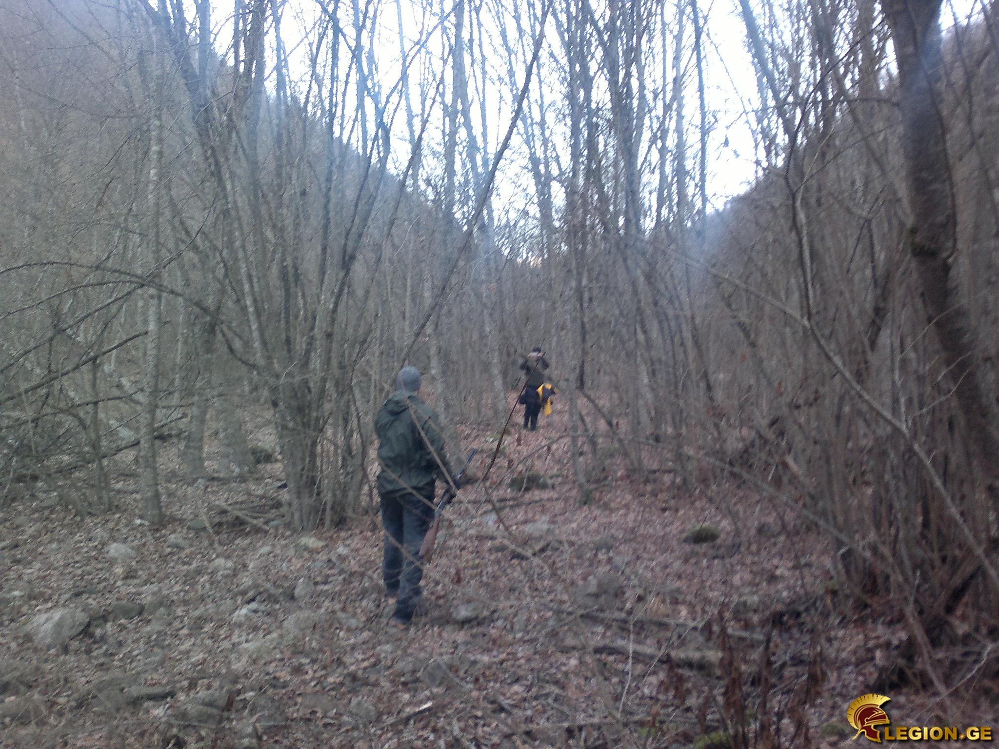 pre_1421310293__201220141439.jpg