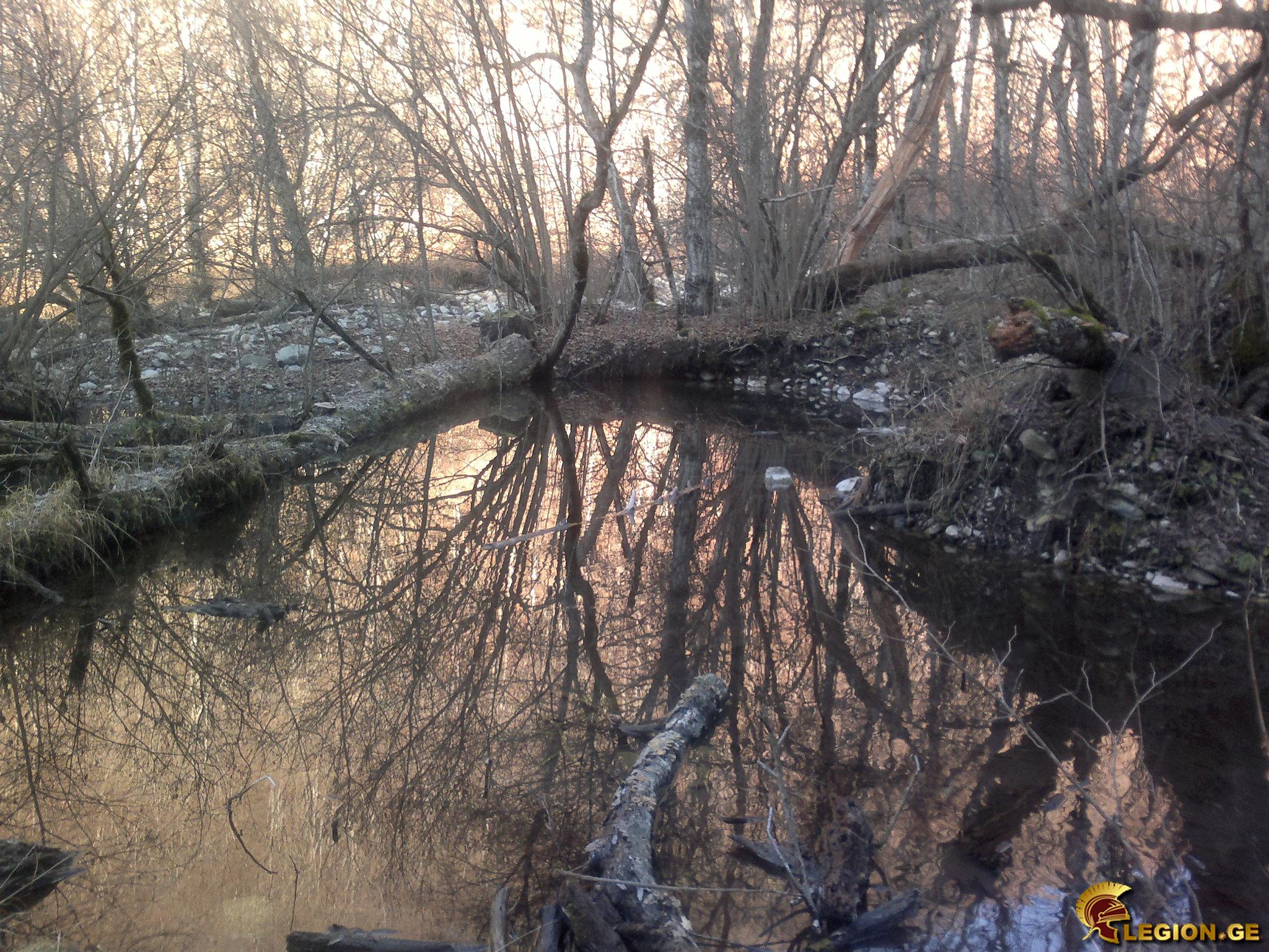 pre_1421310538__201220141448.jpg