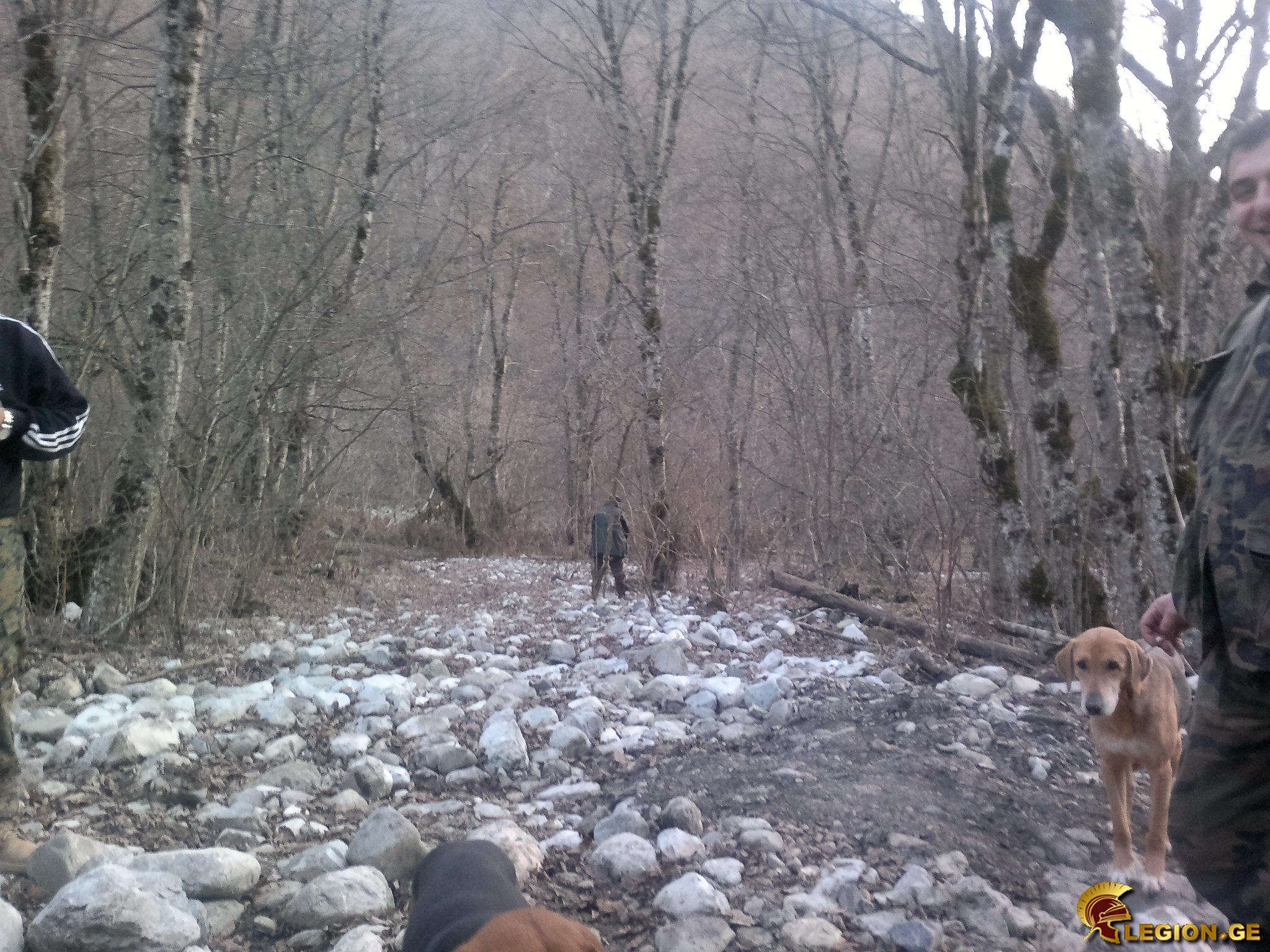 pre_1422340568__201220141457.jpg